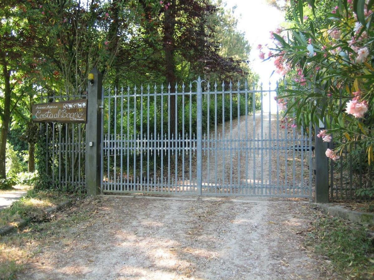 Villa In Campagna Costa Al Bagno Montopoli in Val dʼArno Extérieur photo
